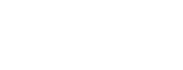 palantir